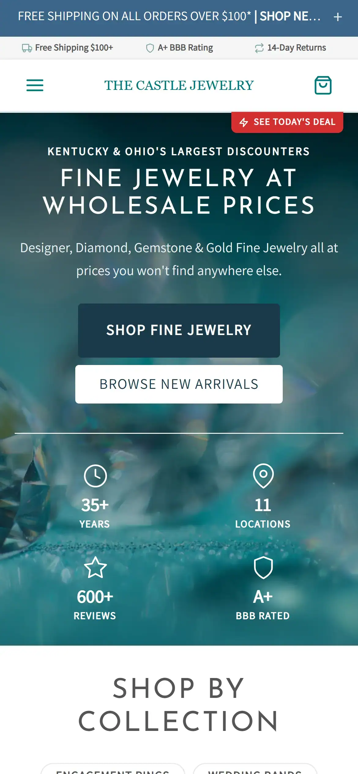 Homepage on mobile - hero, CTA, and above-the-fold content